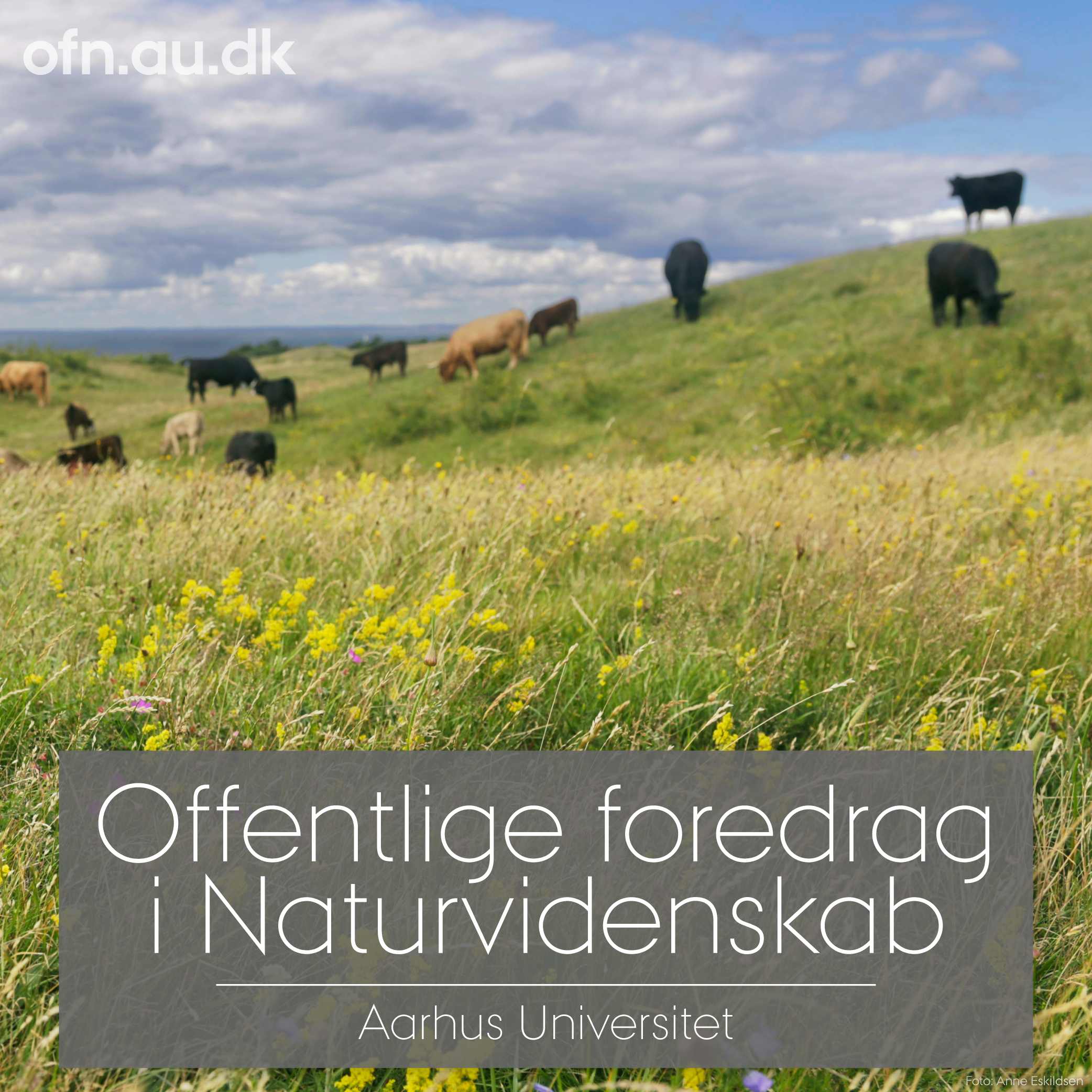 Fortidens og fremtidens vilde natur (via livestream fra Aarhus Universitet)