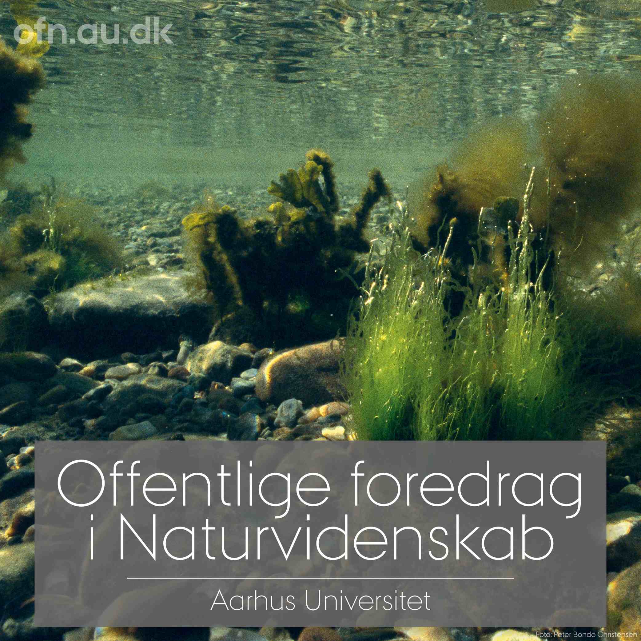 Havets kollaps og vejen tilbage