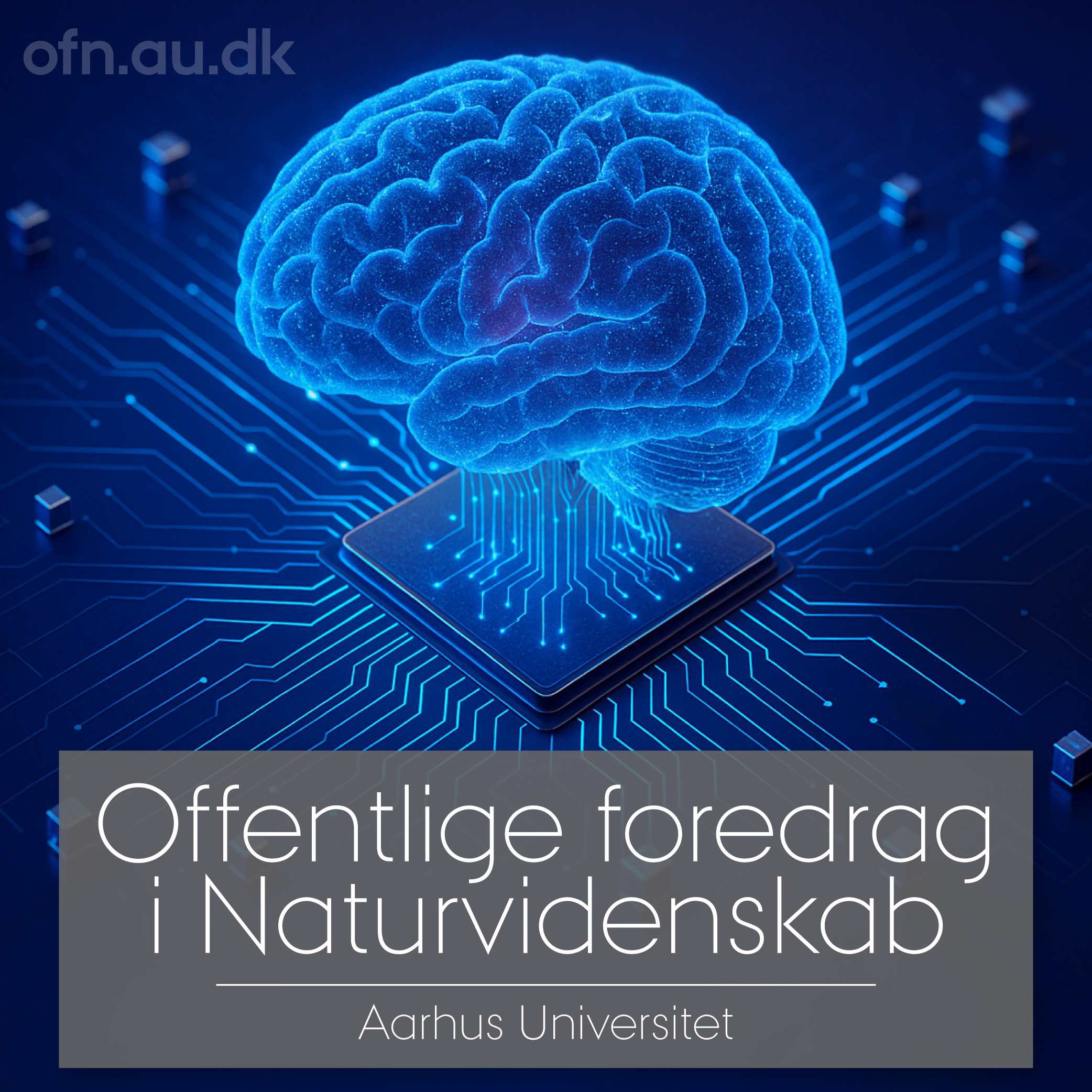 Kunstig intelligens: fra IT til samfund