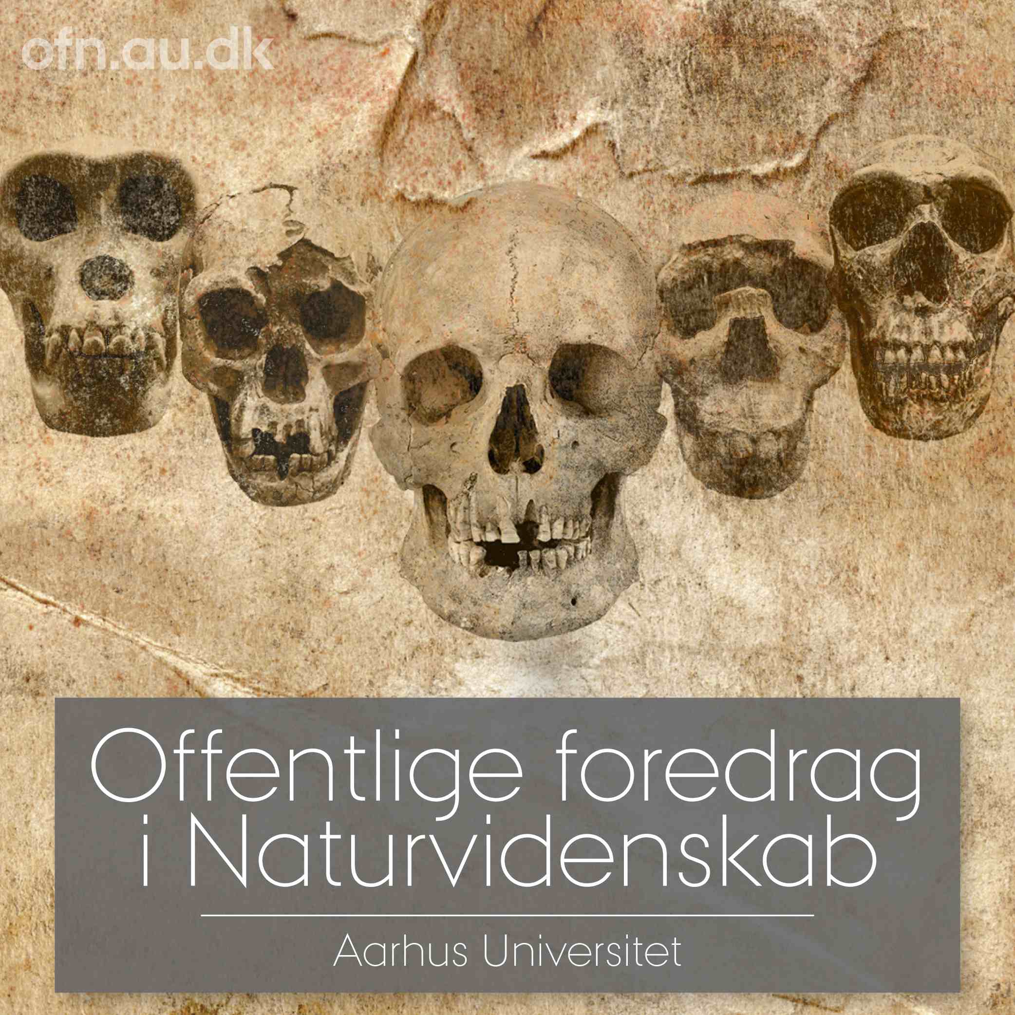 DNA og fossiler udvider vores stamtræ