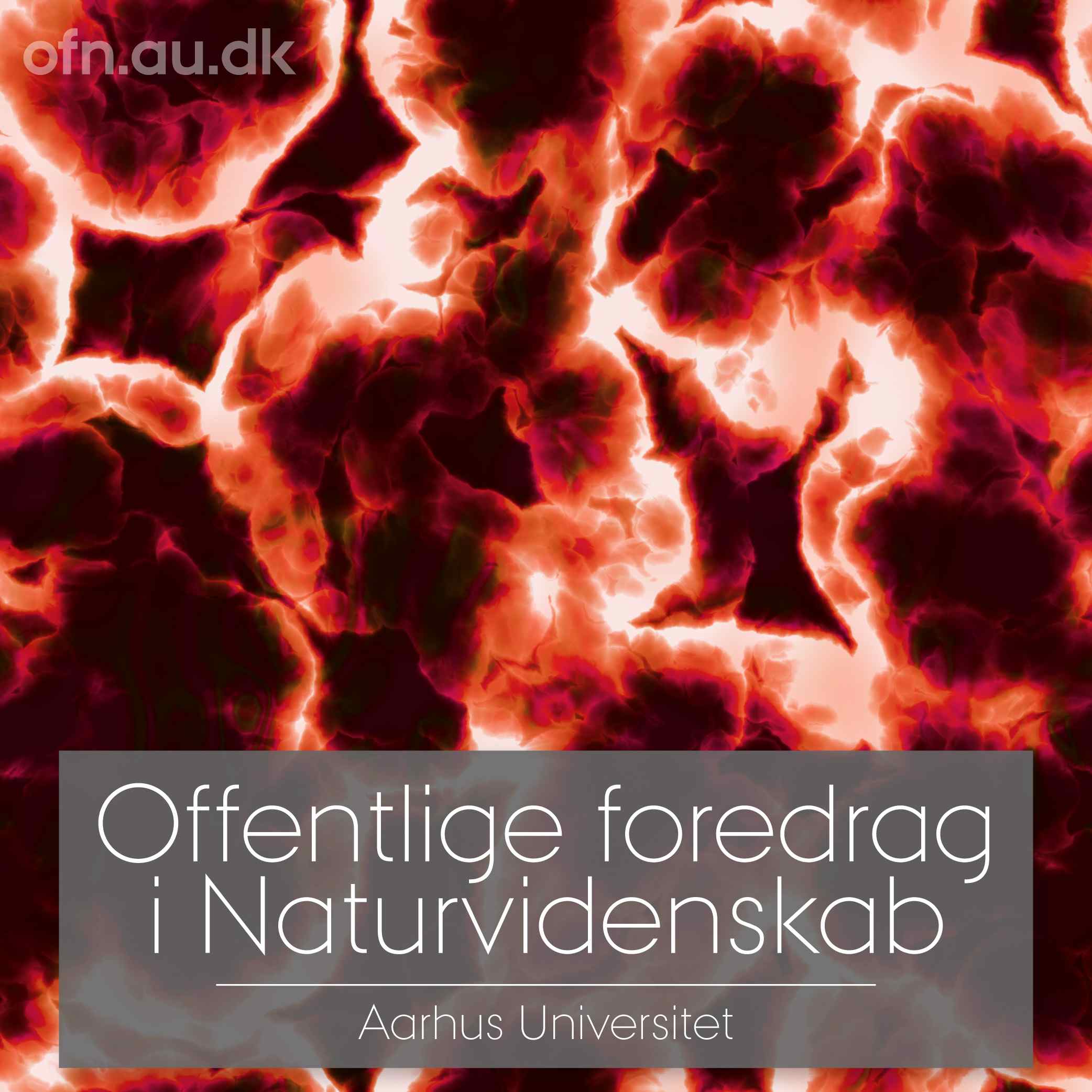 Styrk dit tarmmikrobiom og hold dig rask